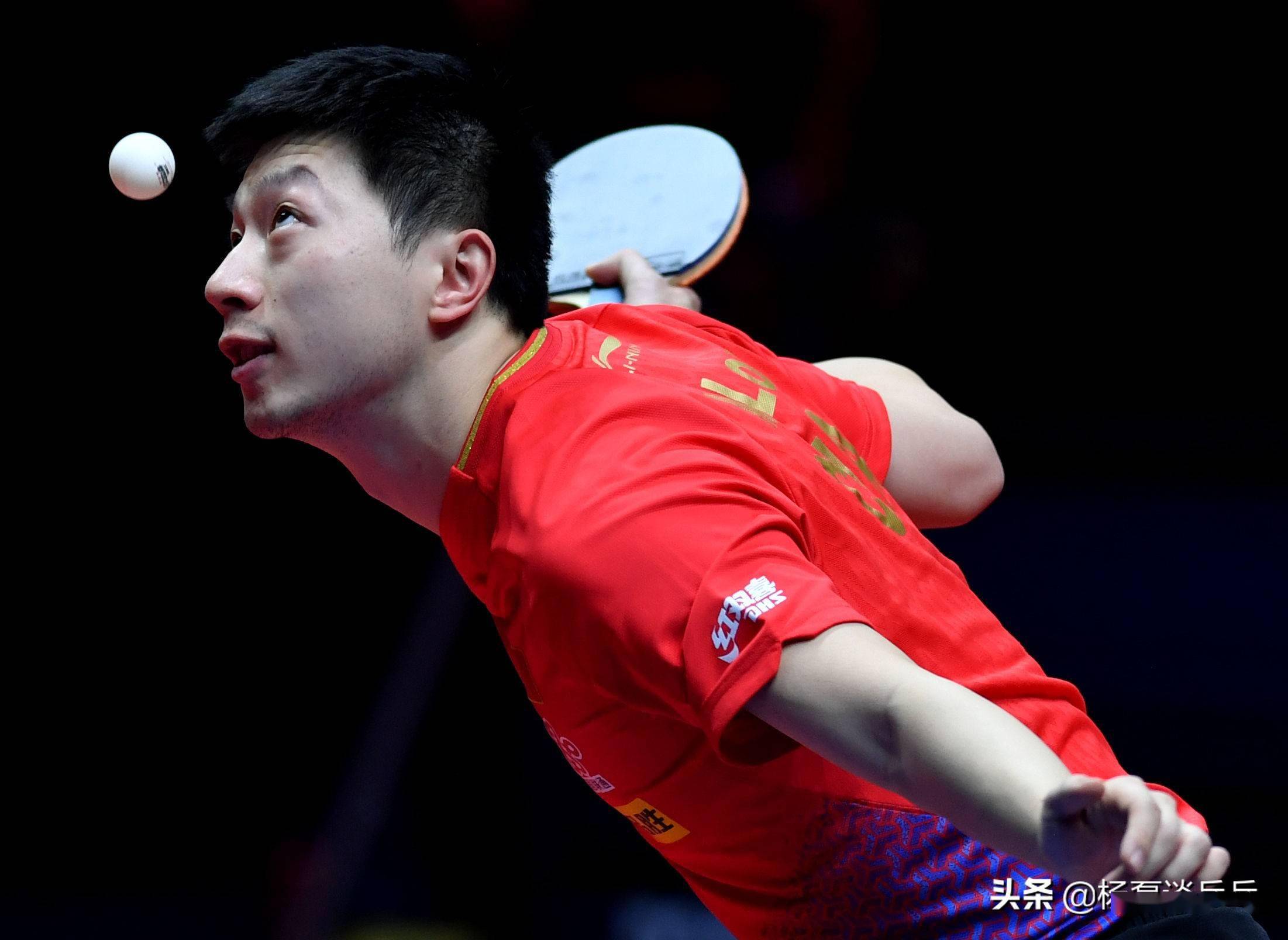 体优势和得 体优势和得