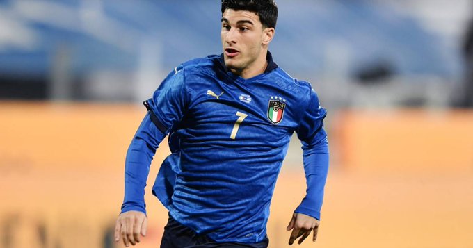 职业体育的 职业体育的